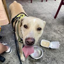 Gaspar's Grotto restaurant view 5