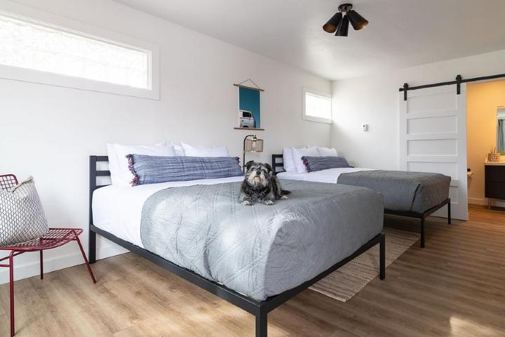New Pet-Friendly Hotels: July 2021 New Pet-Friendly Hotels: July 2021