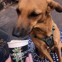 Paramount Cafe restaurant view 1