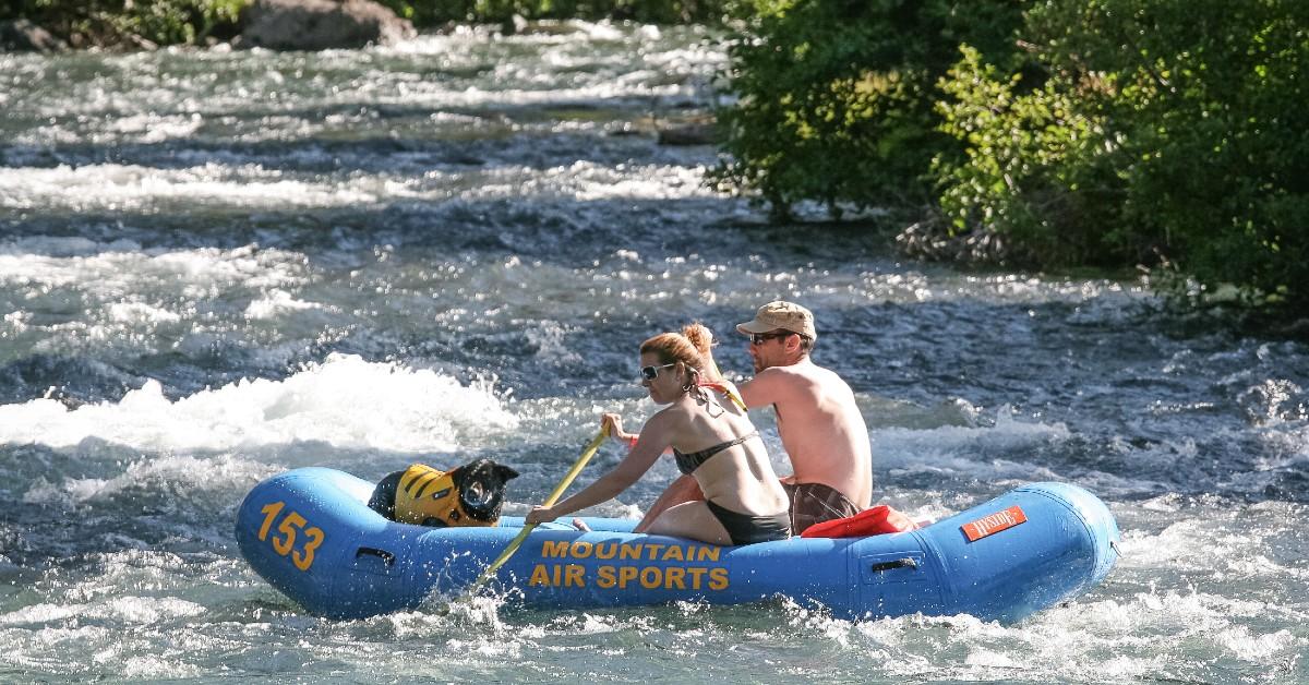 Where to Go Whitewater Rafting With Your Dog