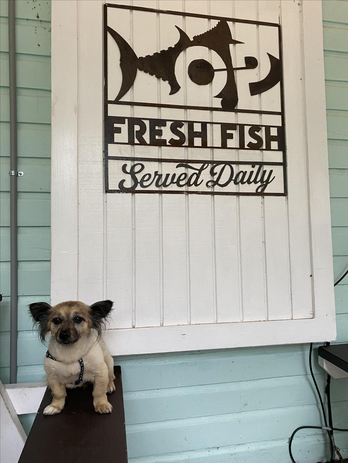 OP Fish House and Oyster Bar restaurant view 5