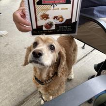 Christos Kitchen restaurant view 3