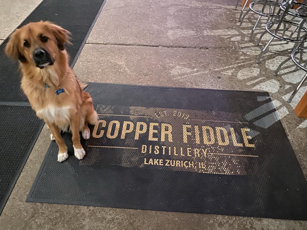 Copper Fiddle restaurant view 2