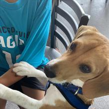 Glory Days Grill restaurant view 1