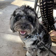 The Griddle restaurant view 1