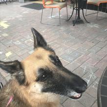 South Side restaurant view 1