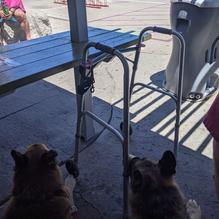 Jalama Beach Burgers restaurant view 1