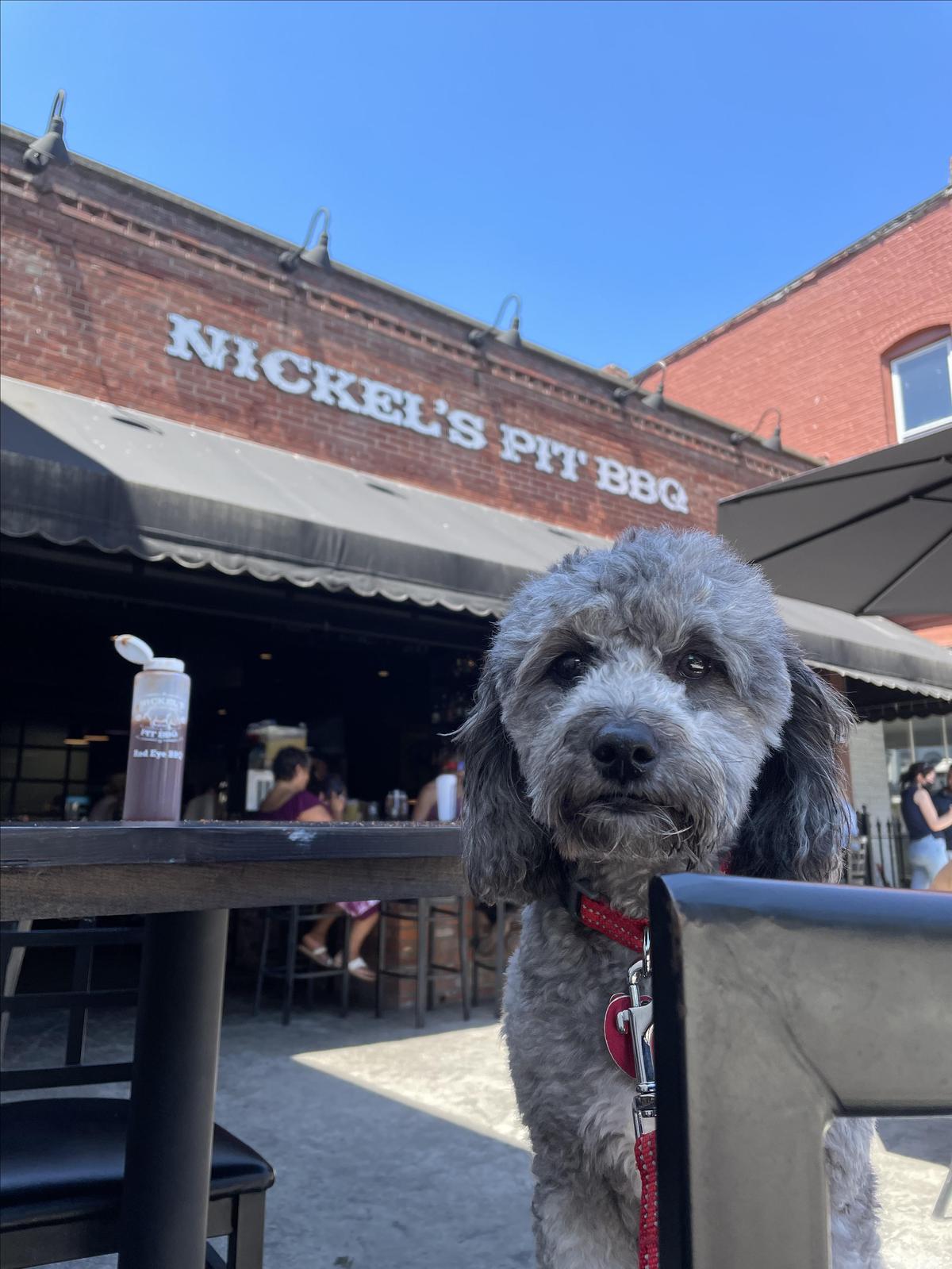 Nickel's Pit BBQ restaurant view 6
