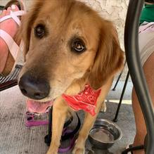 Graze Burgers restaurant view 2