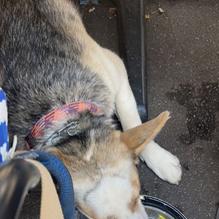 Stickyz restaurant view 2