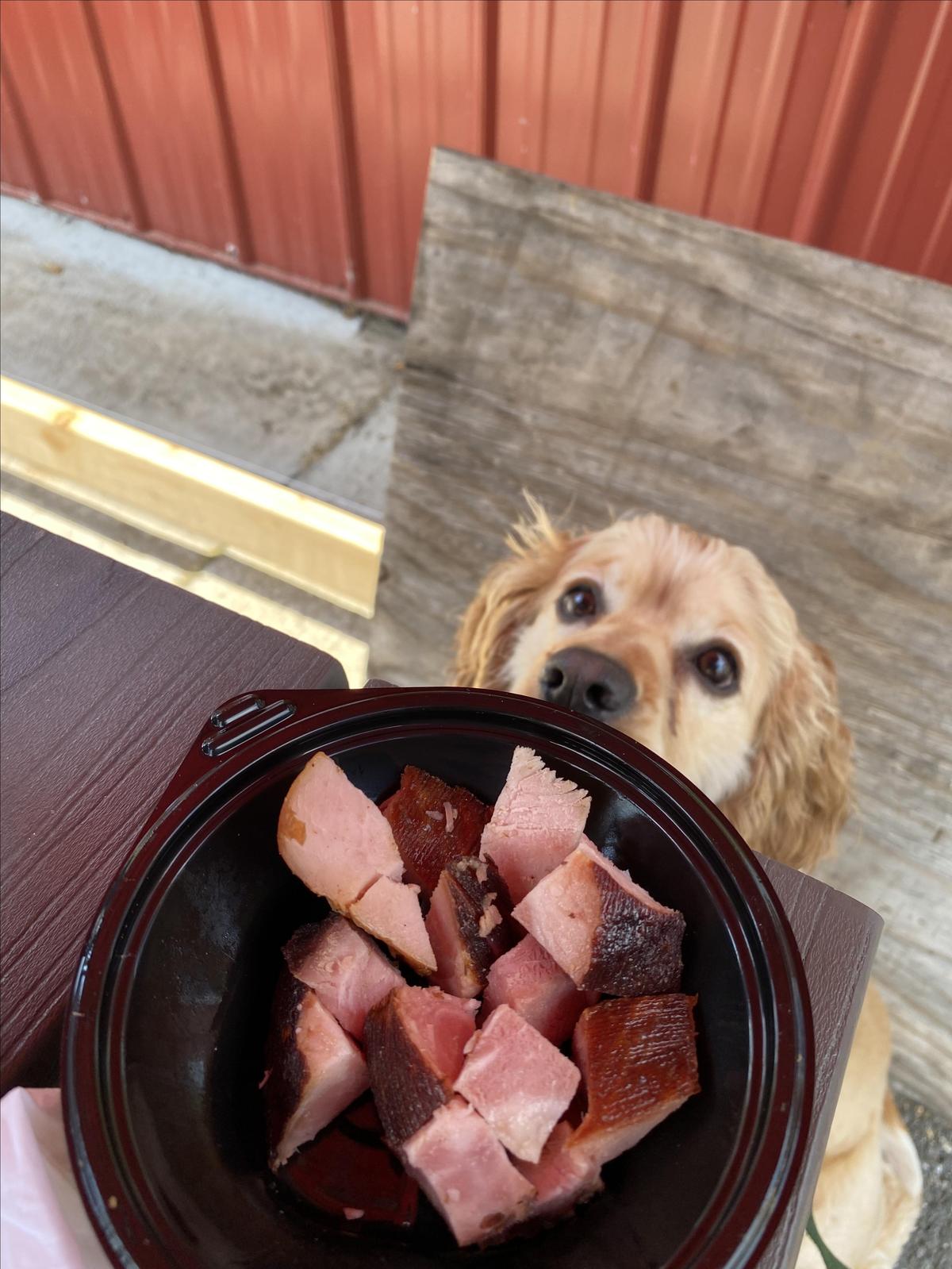 Stewartstown Smokehouse and Beer Barn restaurant view 1