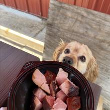 Stewartstown Smokehouse and Beer Barn restaurant view 1