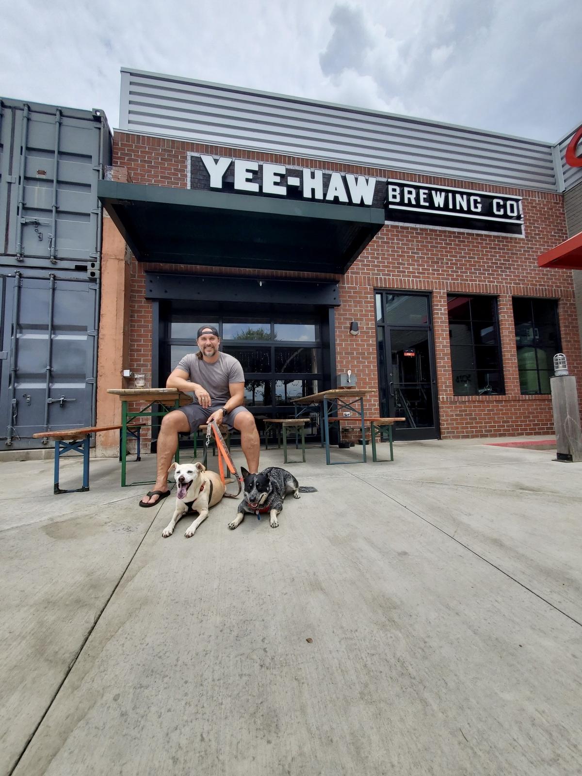Yee-Haw Brewing Company restaurant view 5