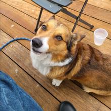 Mighty Fine Burgers restaurant view 1