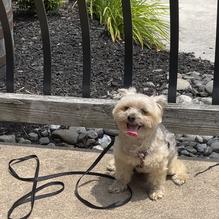 Grain H2O restaurant view 2