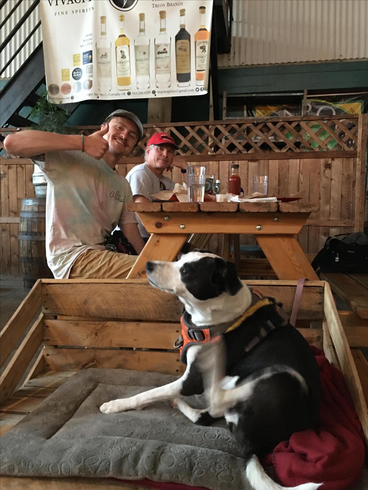 Calapooia Brewing restaurant view 2