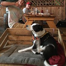 Calapooia Brewing restaurant view 2