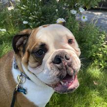 Lily's restaurant view 2