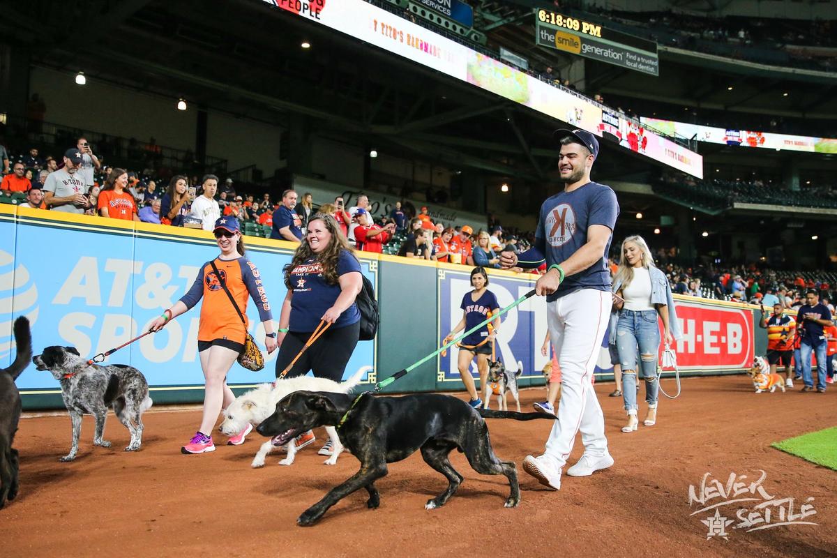 Dog-Friendly Baseball Parks - BringFido