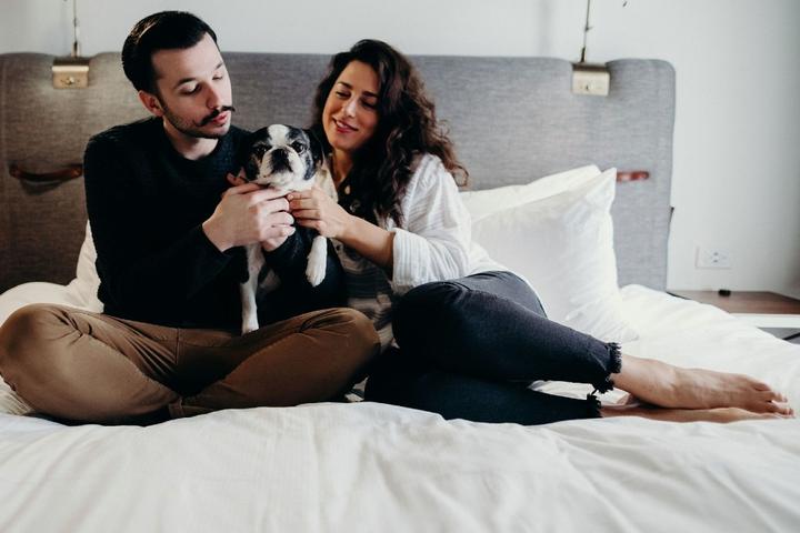 A couple and their dog stay at a pet-friendly hotel in New Orleans.