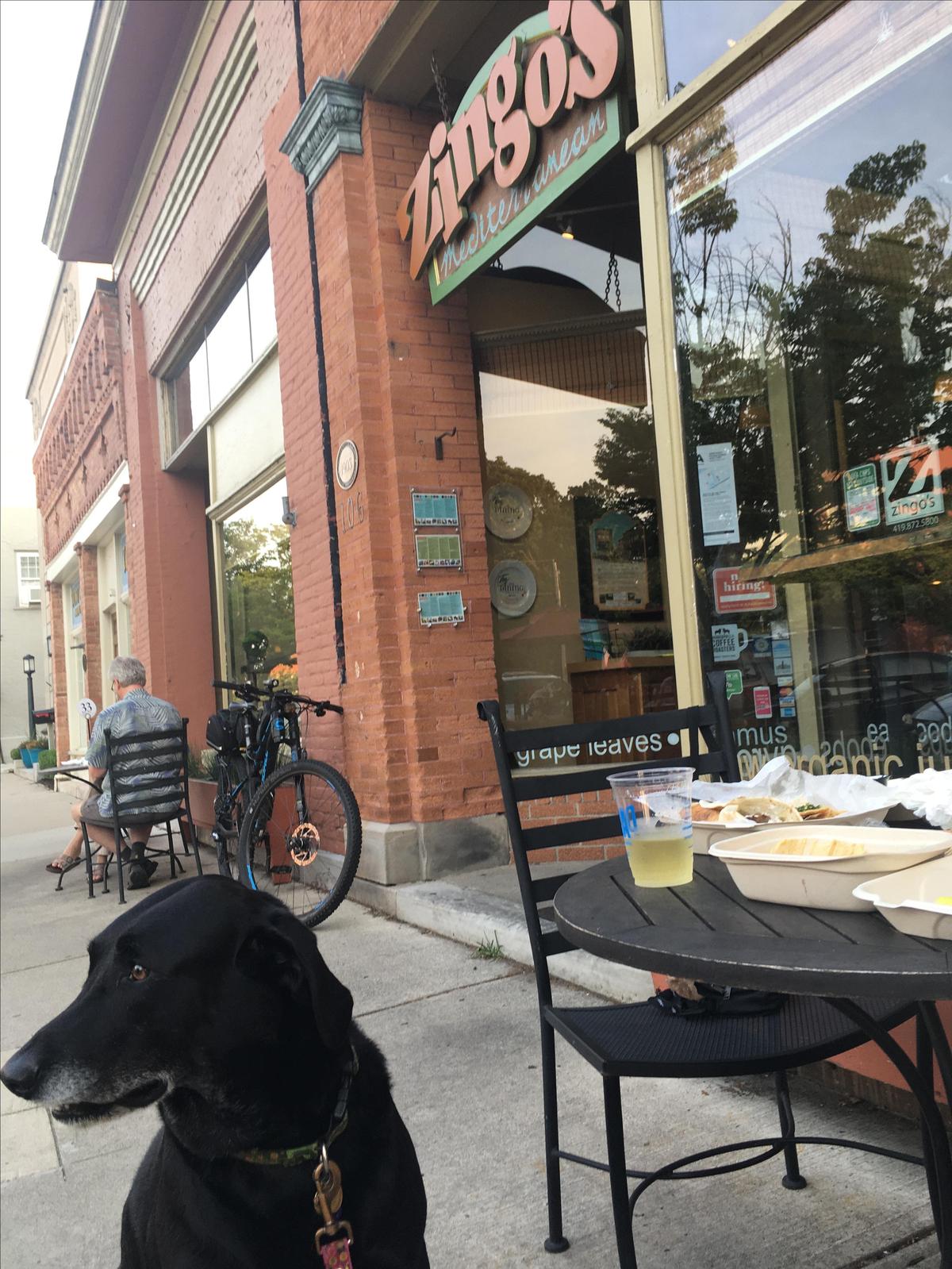 Zingo's Mediterranean restaurant view 1