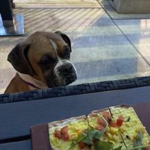 Harvest Seasonal Grill and Wine Bar restaurant view 2