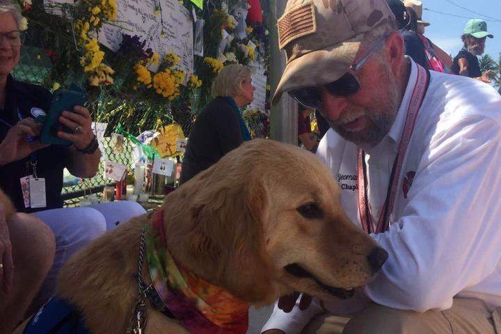 A therapy dog comforts a man at the scene of a tragedy.