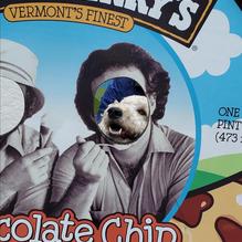 Ben & Jerry's restaurant view 1