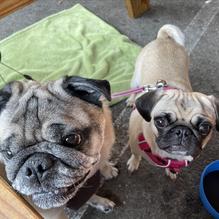 Barrelhouse 101 restaurant view 1