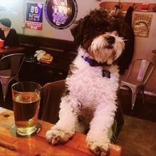 Lucky Lou's restaurant view 2