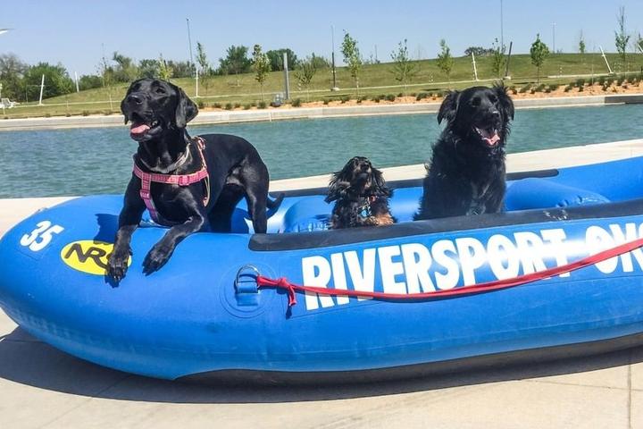 Dogs get into a raft for a float down the Oklahoma River.