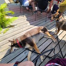 Not Licked Yet restaurant view 3