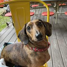 Hop's restaurant view 1