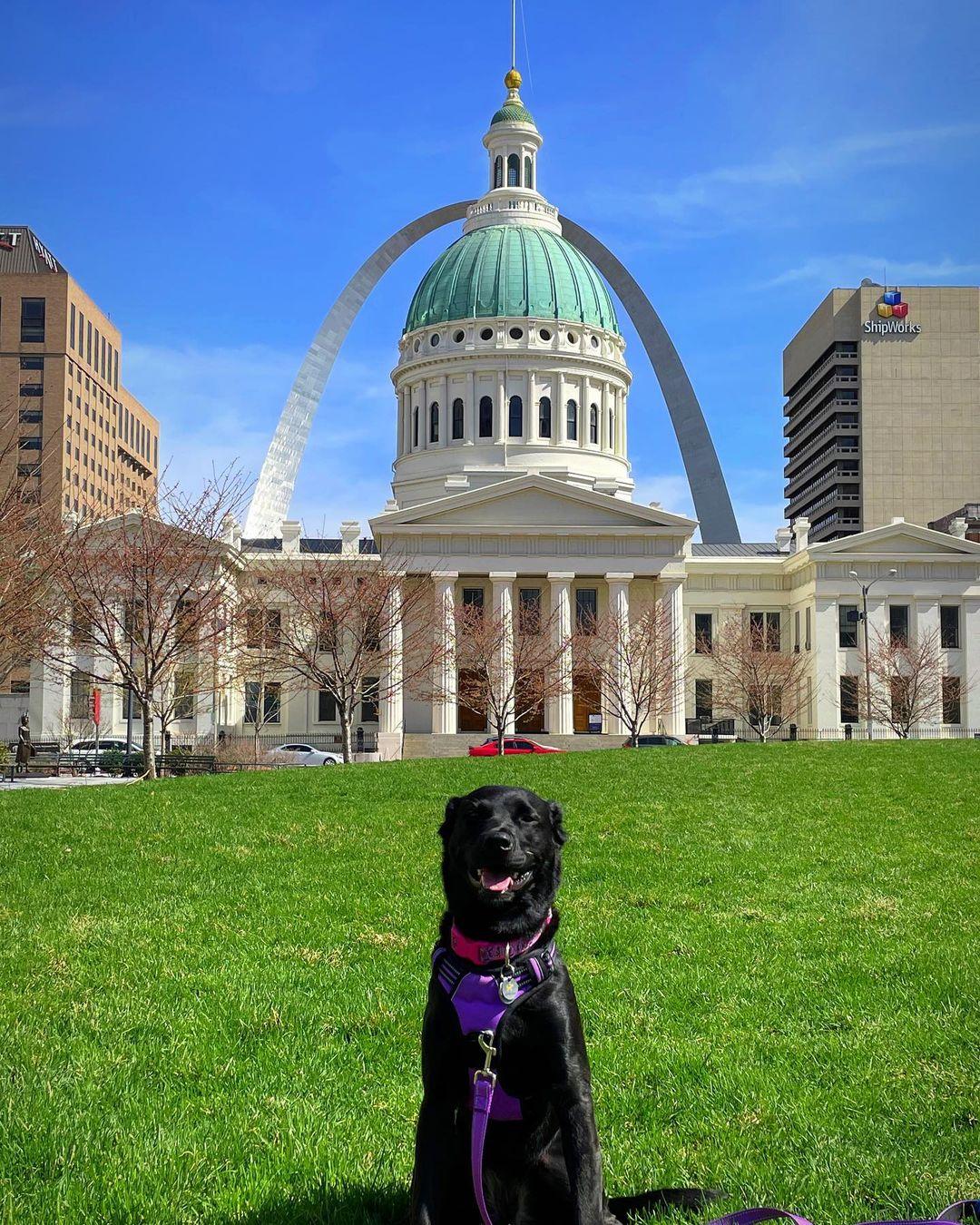 are dogs allowed in the gateway arch