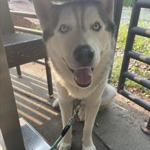 Granite City Food & Brewery restaurant view 4