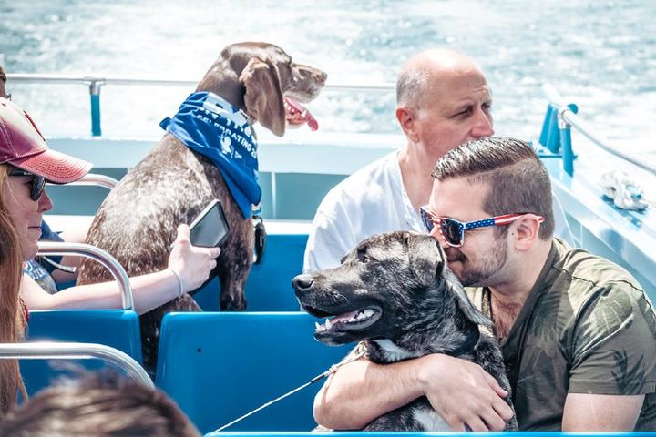 August Events to Mark on Fido’s Calendar August Events to Mark on Fido’s Calendar