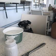 Elli's Great American Restaurant restaurant view 1