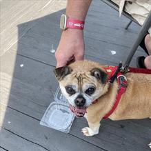 BLU on the Water restaurant view 3