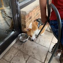 Roots Burger Bar restaurant view 1