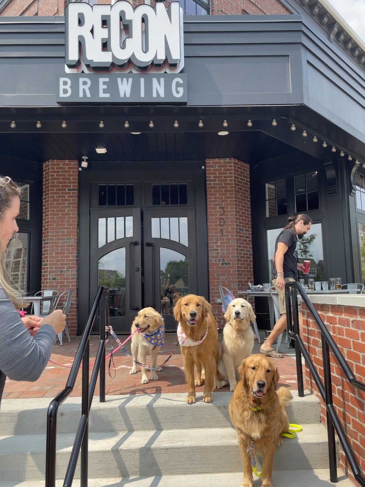 Recon Brewing at Meeder restaurant view 1