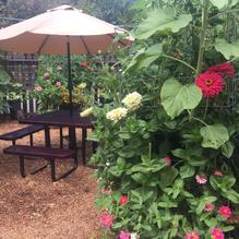 The Peg House restaurant view 2