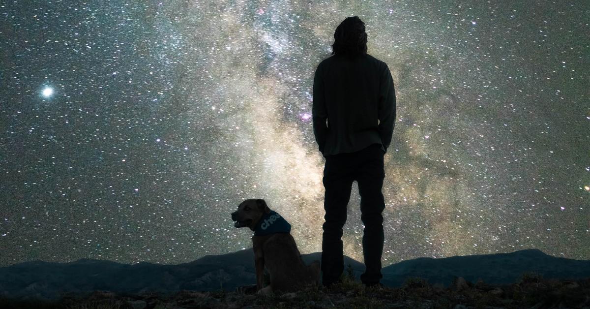 Stargazing With Dogs