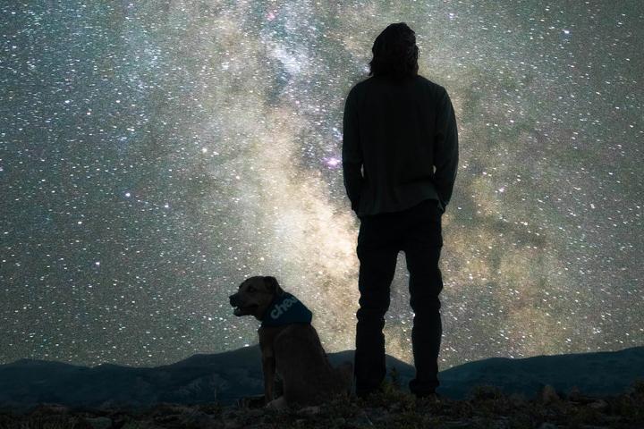 A dog goes stargazing with his human.