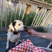 Tricky Fish restaurant view 1