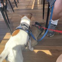 Mama's Comfort Food & Cocktails restaurant view 1