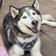 Baja Beach House Grill restaurant view 2