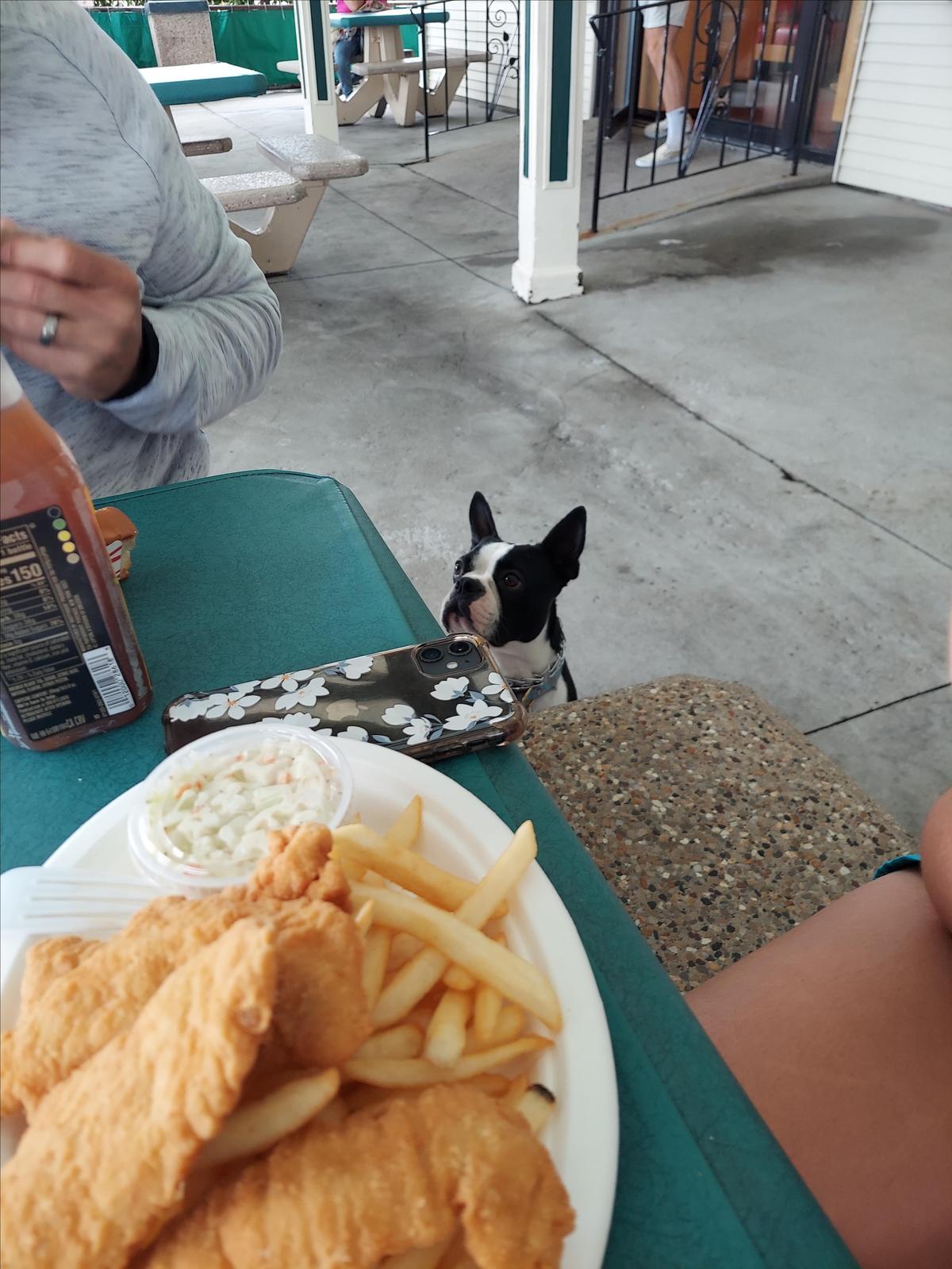 Lobster Hut restaurant view 5