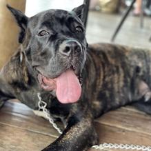 Castaways restaurant view 4