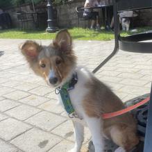 The Purple Pub restaurant view 5