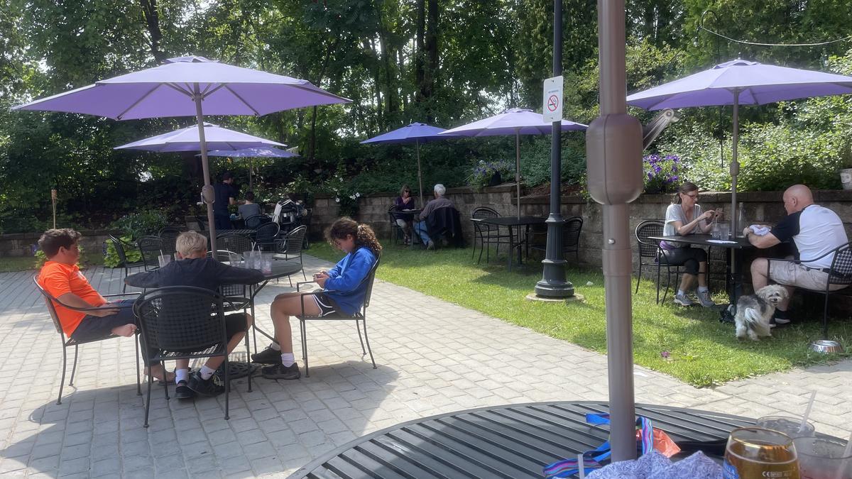 The Purple Pub restaurant view 6